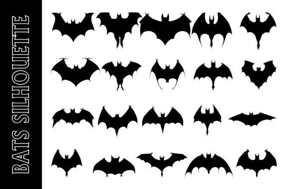 Silhouettes of Diverse Bats in Flight